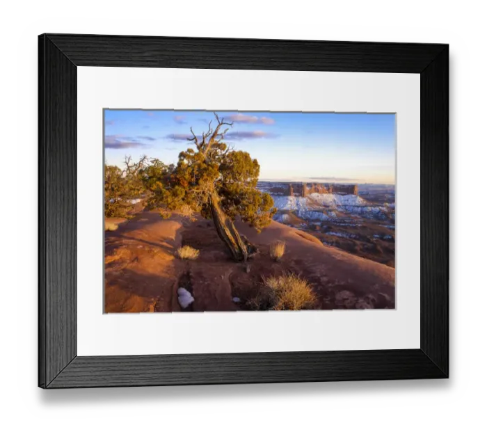 Framed Print : North America, USA, Utah. Overlook vista with cliffs, juniper, and snow during spring Framed Print : North America, USA, Utah. Overlook vista with cliffs, juniper, and snow during spring