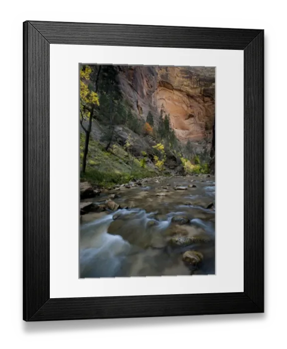 Framed Print : North America, USA, Utah, Zion National Park. Autumn foliage inside the Narrows Framed Print : North America, USA, Utah, Zion National Park. Autumn foliage inside the Narrows