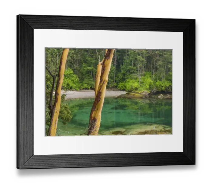 Framed Print : USA, Washington, San Juan Islands. Secluded bay on Sucia Island Framed Print : USA, Washington, San Juan Islands. Secluded bay on Sucia Island