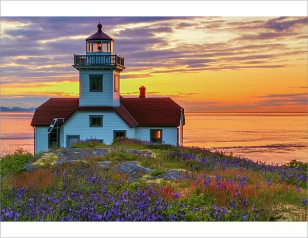 USA, Washington, San Juan Islands. Patos Lighthouse and camas flowers at sunset. Credit as