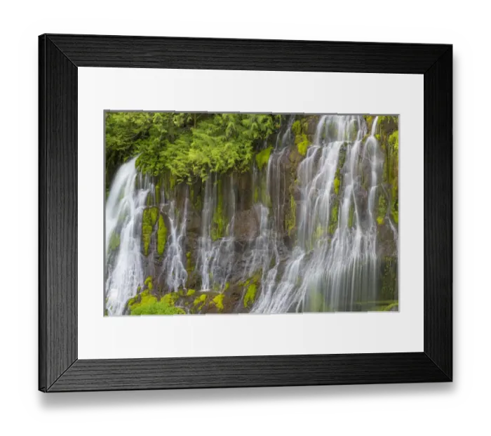 Framed Print : USA, Washington, Gifford Pinchot National Forest. Spring scenic of Panther Creek Waterfall Framed Print : USA, Washington, Gifford Pinchot National Forest. Spring scenic of Panther Creek Waterfall