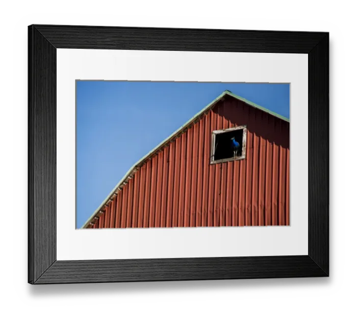 Framed Print : USA: Washington, Palouse, Whitman County, No Water No Life Snake River Expedition 2 of 2015 Framed Print : USA: Washington, Palouse, Whitman County, No Water No Life Snake River Expedition 2 of 2015