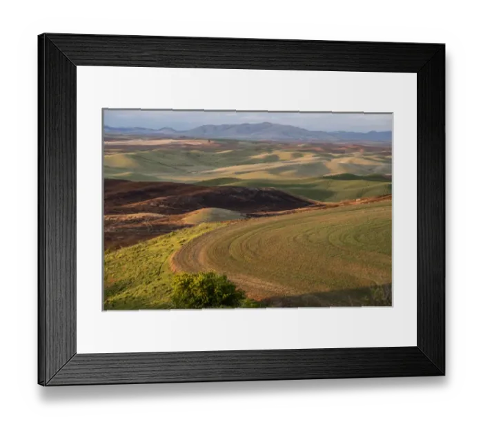 Framed Print : USA: Washington, Columbia River Basin, Snake River Basin, Steptoe Butte views of Framed Print : USA: Washington, Columbia River Basin, Snake River Basin, Steptoe Butte views of
