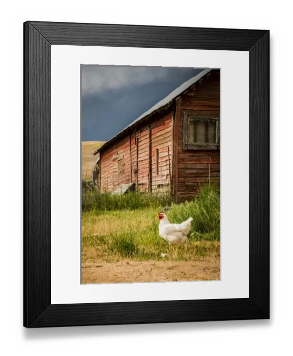 Framed Print : USA: Washington, Palouse, Whitman County, No Water No Life Snake River Expedition 2 of 2015 Framed Print : USA: Washington, Palouse, Whitman County, No Water No Life Snake River Expedition 2 of 2015