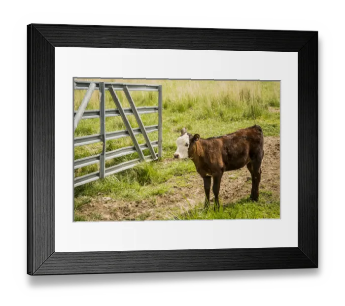 Framed Print : USA: Washington, Palouse, Whitman County, No Water No Life Snake River Expedition 2 of 2015 Framed Print : USA: Washington, Palouse, Whitman County, No Water No Life Snake River Expedition 2 of 2015