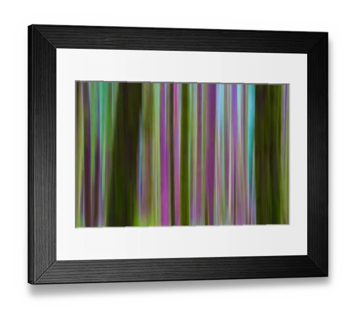 Framed Print : USA, Washington. Abstract of Hoh Rain Forest at dusk Framed Print : USA, Washington. Abstract of Hoh Rain Forest at dusk