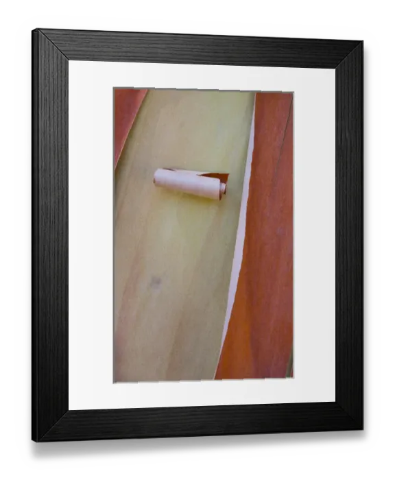 Framed Print : USA, Washington, Port Townsend. Madrone tree bark detail. Credit as: Gilles Delisle  /  Jaynes Gallery  /  DanitaDelimont. com