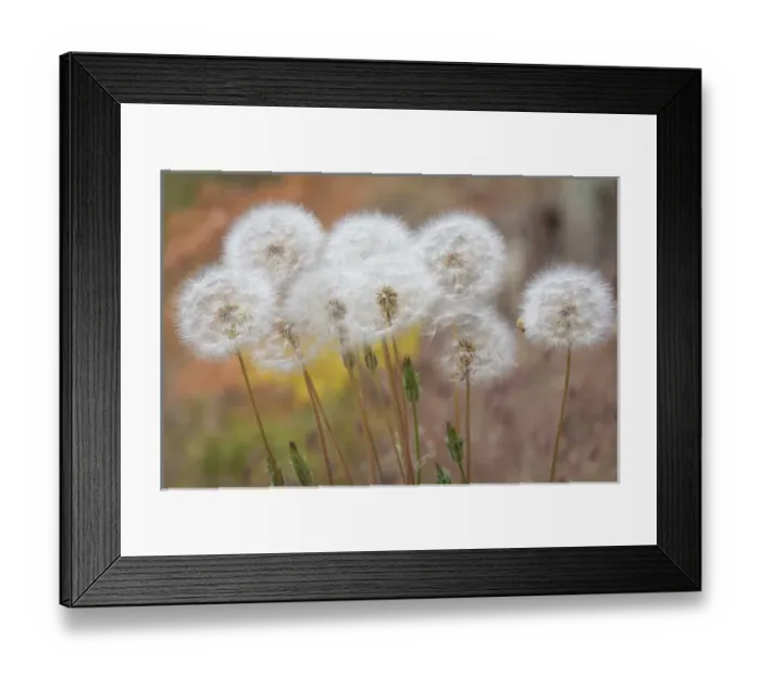 Framed Print : USA, Washington, Wenatchee National Forest