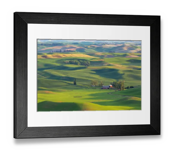 Framed Print : USA, Washington, Palouse Hills. Farmland viewed from Steptoe Butte Framed Print : USA, Washington, Palouse Hills. Farmland viewed from Steptoe Butte