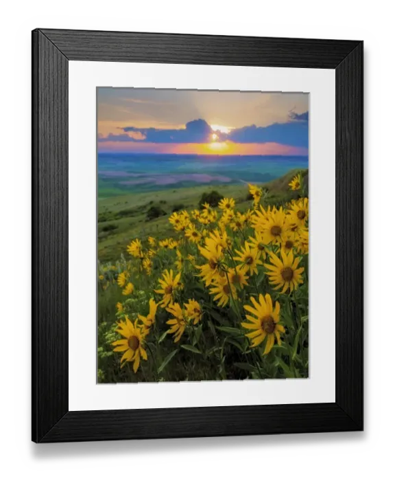 Framed Print : USA, Washington, Palouse Hills. Landscape with Douglas sunflowers. Credit as Framed Print : USA, Washington, Palouse Hills. Landscape with Douglas sunflowers. Credit as