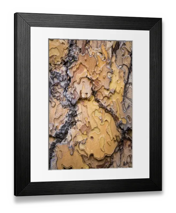 Framed Print : USA, Washington, Wenatchee National Forest