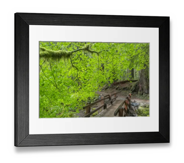 Framed Print : USA, Washington, Olympic National Park. Bridge along the Sol Duc River trail. Credit as Framed Print : USA, Washington, Olympic National Park. Bridge along the Sol Duc River trail. Credit as