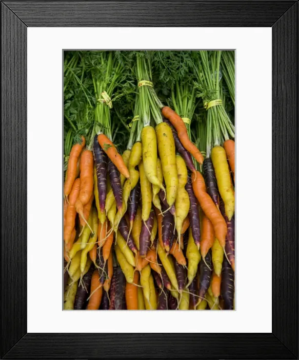 Framed Print : USA, Washington, Sequim. Display of carrot varieties