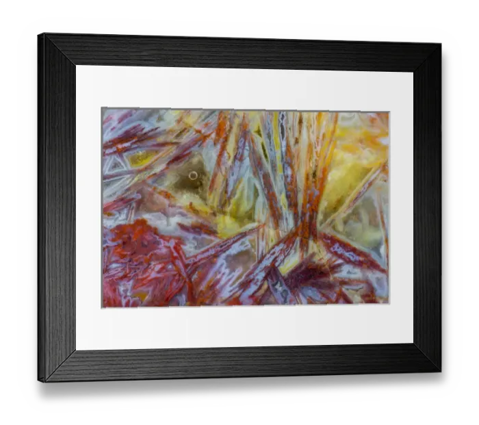Framed Print : Agate in colorful design, Sammamish WA Framed Print : Agate in colorful design, Sammamish WA