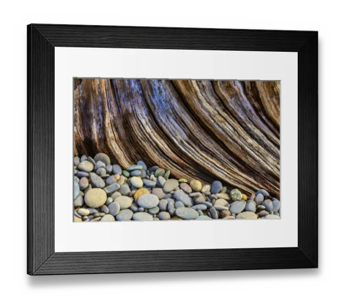 Framed Print : USA, Washington, Olympic National Park. Beach rocks and driftwood