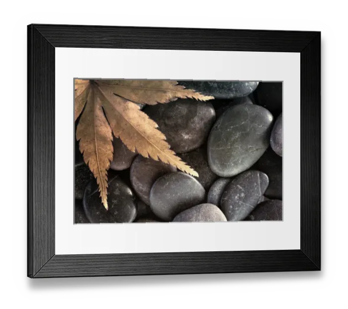 Framed Print : USA, Washington. Maple leaf on rocks. Credit as: Don Paulson  /  Jaynes Gallery  /  DanitaDelimont