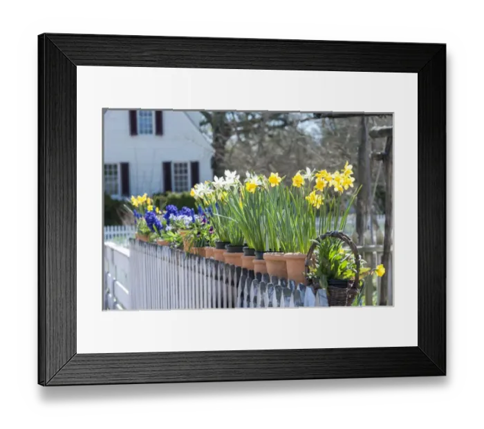 Framed Print : USA, Virginia, Williamsburg, Colonial Williamsburg, garden Framed Print : USA, Virginia, Williamsburg, Colonial Williamsburg, garden