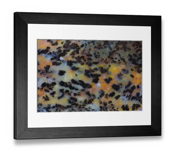 Framed Print : Cheetah Agate