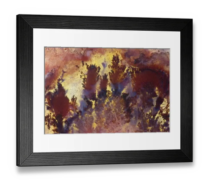 Framed Print : Regency RosePlume Agate, Oregon