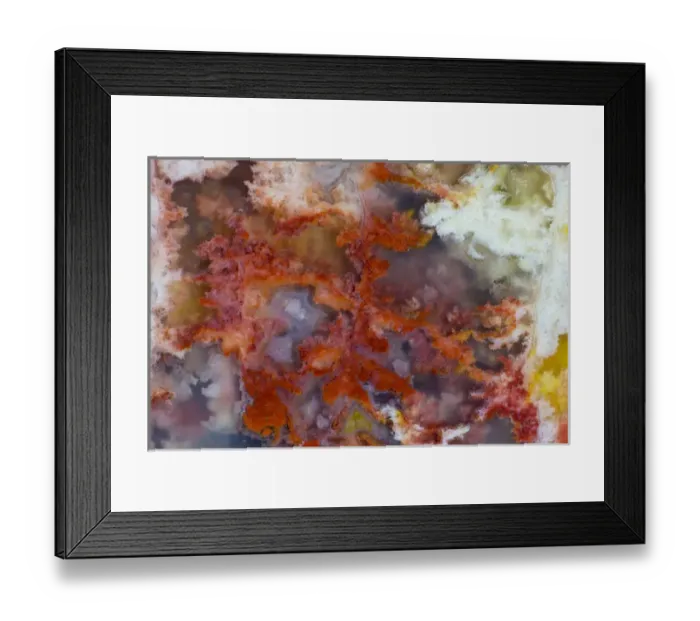 Framed Print : Carey Plume Agate, Fox Island WA Framed Print : Carey Plume Agate, Fox Island WA