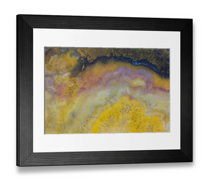 Framed Print : Agate in colorful design, Sammamish WA Framed Print : Agate in colorful design, Sammamish WA