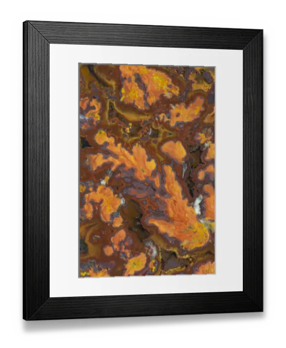Framed Print : Plume Agate, Sammamish Washington Framed Print : Plume Agate, Sammamish Washington