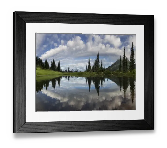 Framed Print : USA, Washington State, Mt. Rainier National Park