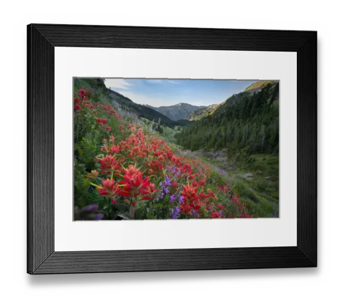 Framed Print : USA, Washington State, Olympic National Park Framed Print : USA, Washington State, Olympic National Park