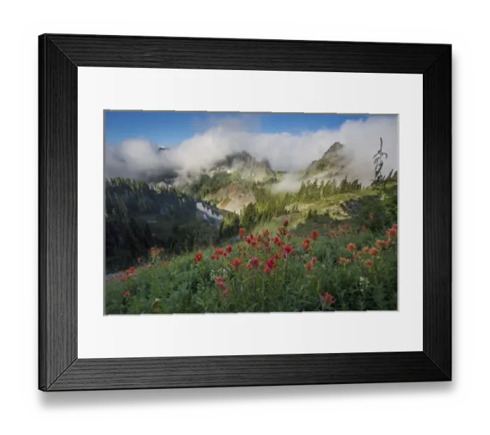 Framed Print : USA. Washinton State, Mt. Rainier National Park Framed Print : USA. Washinton State, Mt. Rainier National Park