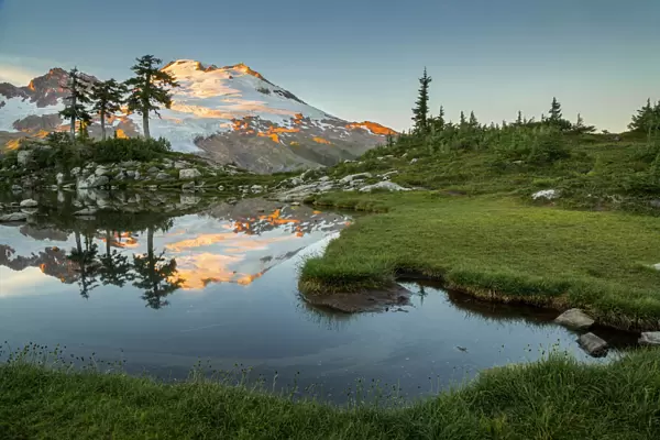 USA, Washington State. Mt. Baker reflecting in a tarn on Park Butte