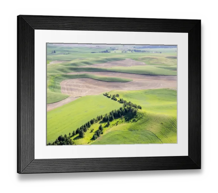 Framed Print : USA, Washington state, Palouse, Whitman County Framed Print : USA, Washington state, Palouse, Whitman County