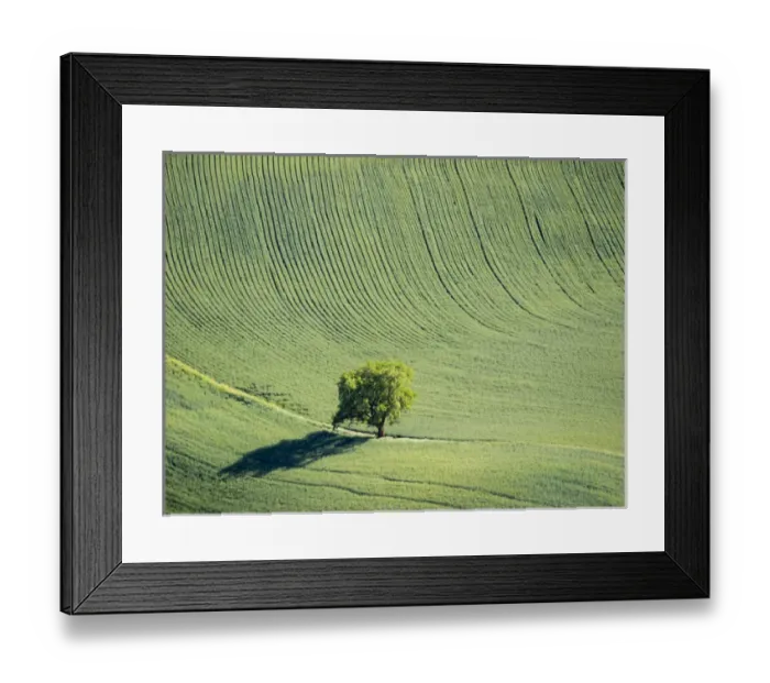 Framed Print : USA, Washington state, Palouse, Whitman County
