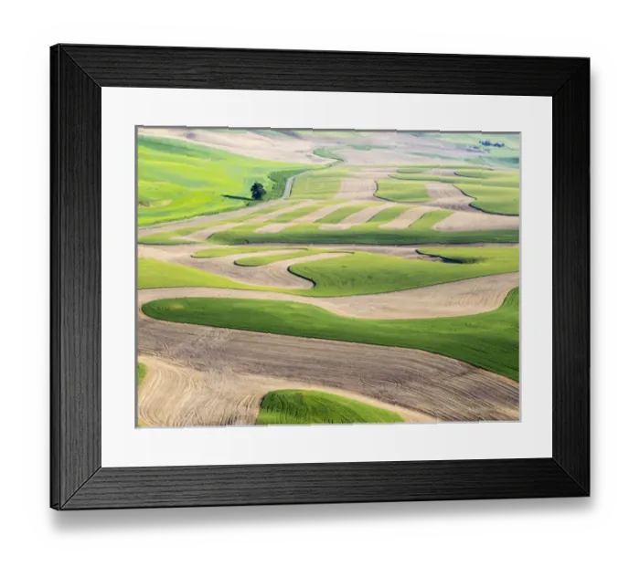 Framed Print : USA, Washington state, Palouse, Whitman County