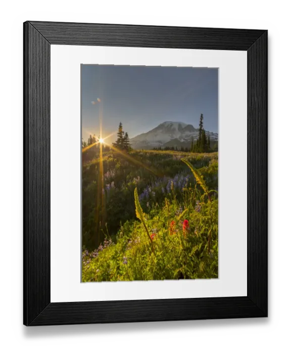 Framed Print : USA, Washington State. Starburst setting sun, subalpine wildflowers and Mt
