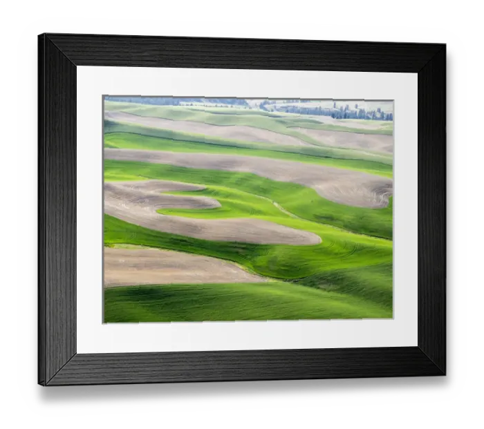 Framed Print : USA, Washington state, Palouse, Whitman County Framed Print : USA, Washington state, Palouse, Whitman County