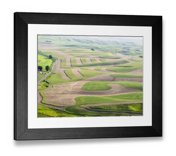 Framed Print : USA, Washington state, Palouse, Whitman County Framed Print : USA, Washington state, Palouse, Whitman County