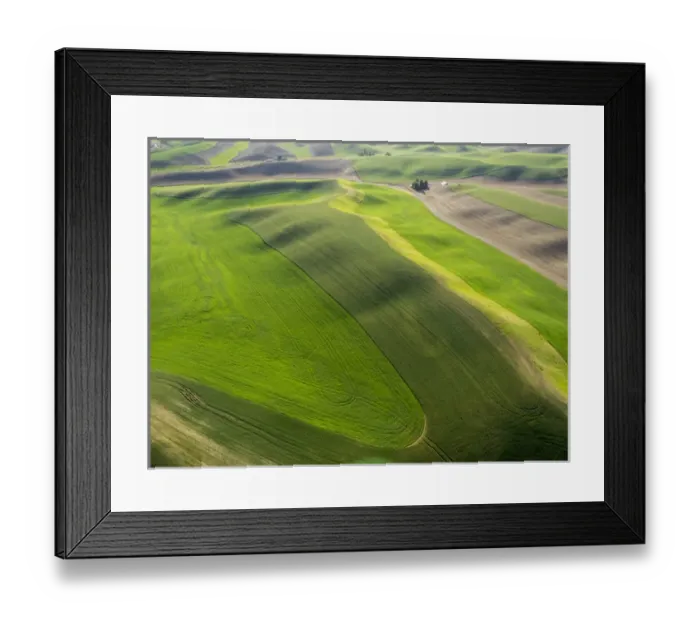 Framed Print : USA, Washington state, Palouse, Whitman County Framed Print : USA, Washington state, Palouse, Whitman County