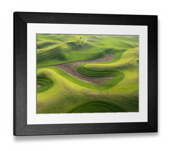 Framed Print : USA, Washington state, Palouse, Whitman County Framed Print : USA, Washington state, Palouse, Whitman County
