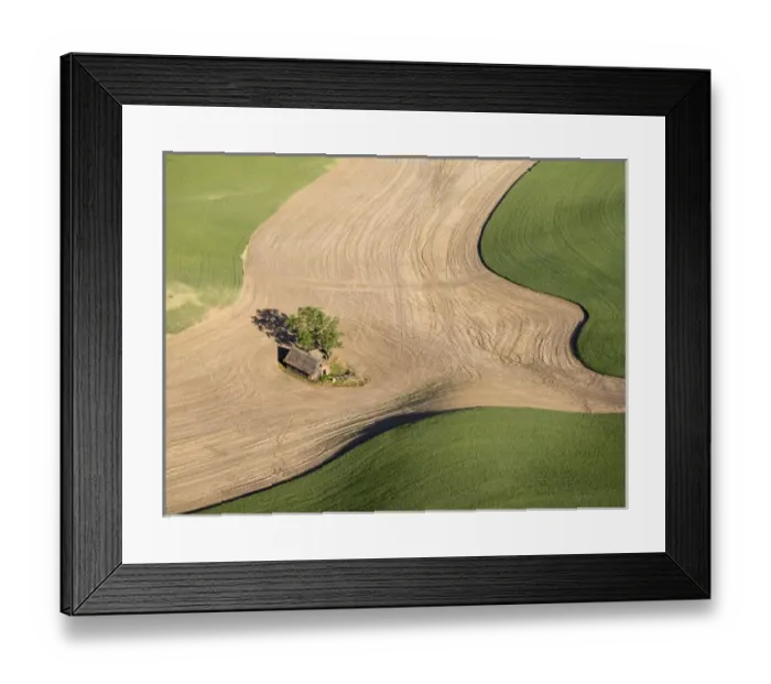 Framed Print : USA, Washington state, Palouse, Whitman County Framed Print : USA, Washington state, Palouse, Whitman County