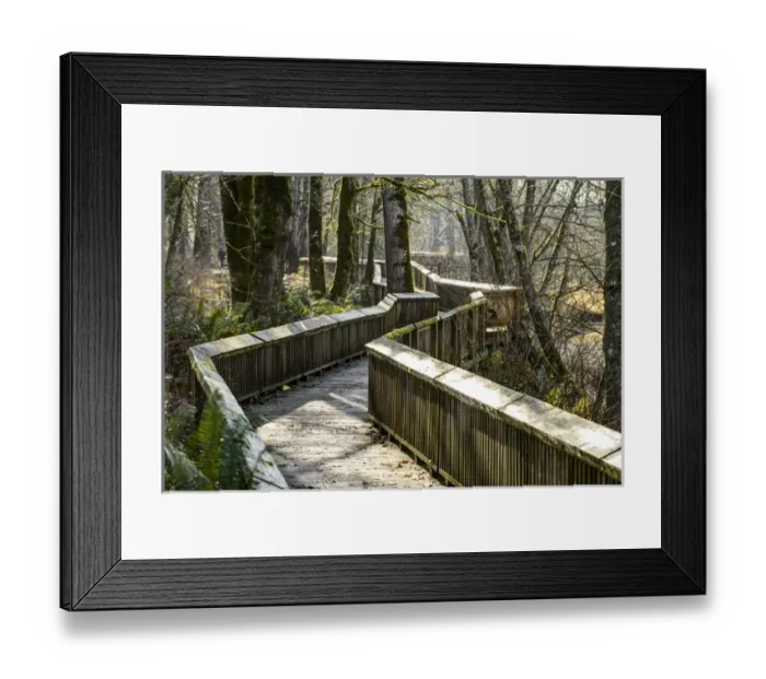 Framed Print : Nisqually National Wildlife Refue, WA. Wooden boardwalk Framed Print : Nisqually National Wildlife Refue, WA. Wooden boardwalk