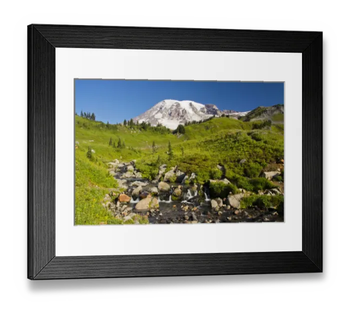 Framed Print : Edith Creek; Mount Rainier from Paradise; Mount Rainier National Park; Washington; USA Framed Print : Edith Creek; Mount Rainier from Paradise; Mount Rainier National Park; Washington; USA