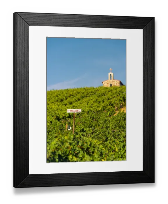 Framed Print : USA, Washington, Mabton. Red Willow vineyard supplies malbec grapes to many of Washington s