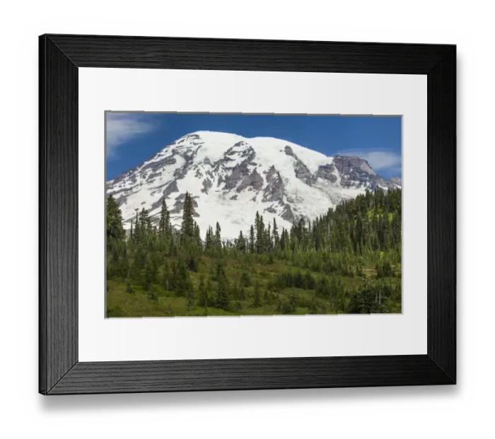 Framed Print : Mt Rainer and Forested Morraines as seen from Paradise Meadows, Mt. Rainier National Park Framed Print : Mt Rainer and Forested Morraines as seen from Paradise Meadows, Mt. Rainier National Park