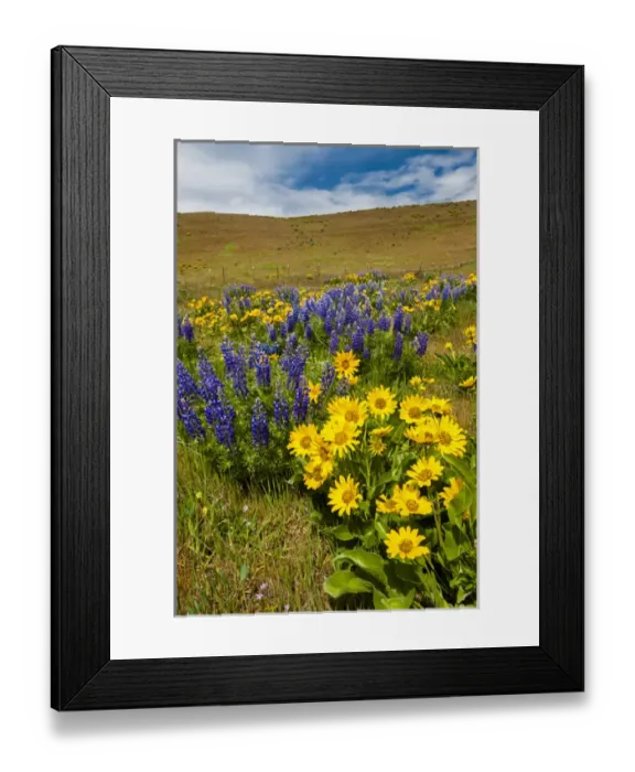 Framed Print : USA, Washington, Columbia Hills State Park Framed Print : USA, Washington, Columbia Hills State Park