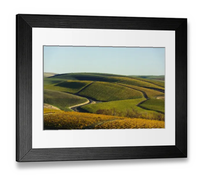 Framed Print : USA, Washington, Walla Walla. Spring Valley and Precept Vineyards Framed Print : USA, Washington, Walla Walla. Spring Valley and Precept Vineyards