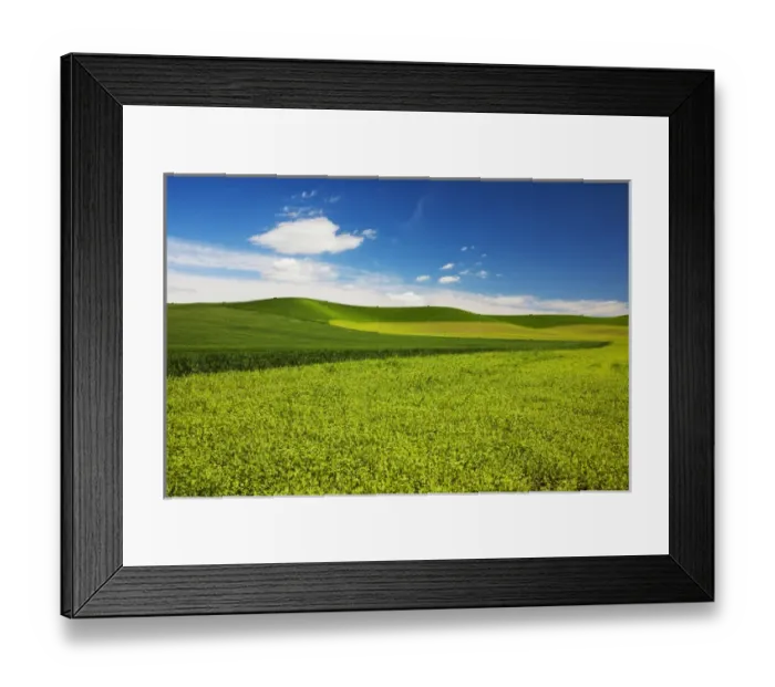 Framed Print : North America; USA; Washington; Palouse Country; Rolling Hills of Wheat