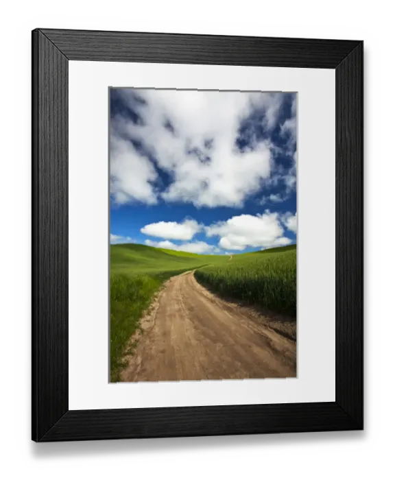 Framed Print : North America; USA; Washington; Palouse Country; Back Country Road Through Spring Wheat Field Framed Print : North America; USA; Washington; Palouse Country; Back Country Road Through Spring Wheat Field