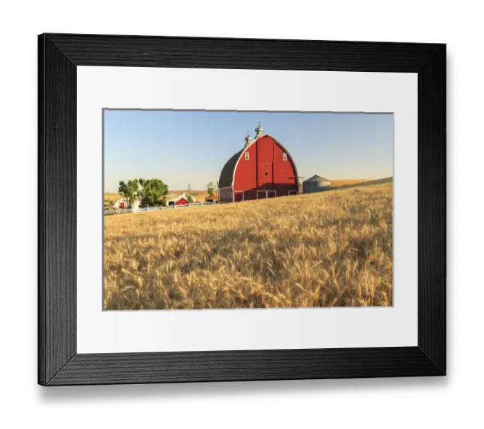 Framed Print : P. R. Barn, Summer Wheatfields near Sprague, Eastern Washington State, Palouse Area, USA Framed Print : P. R. Barn, Summer Wheatfields near Sprague, Eastern Washington State, Palouse Area, USA