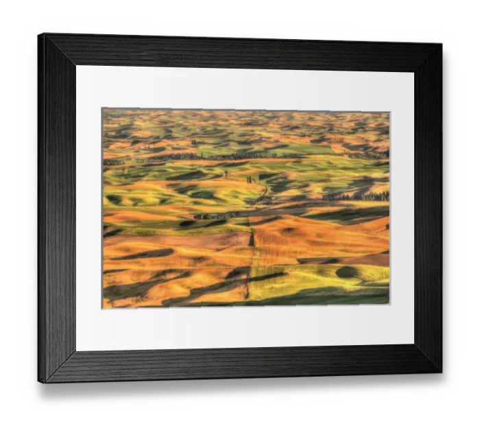 Framed Print : Aerial view of Summer Wheat, Barley and Lentil Fields from atop Steptoe Butte Park