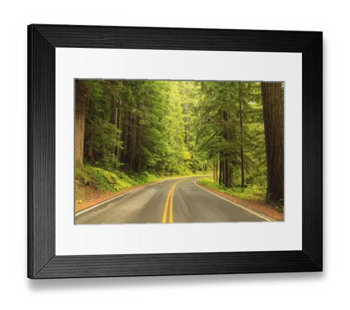 Framed Print : Old Growth forest at grove of the Patriarchs, Fall, Mt. Rainier National Park, WA, USA Framed Print : Old Growth forest at grove of the Patriarchs, Fall, Mt. Rainier National Park, WA, USA